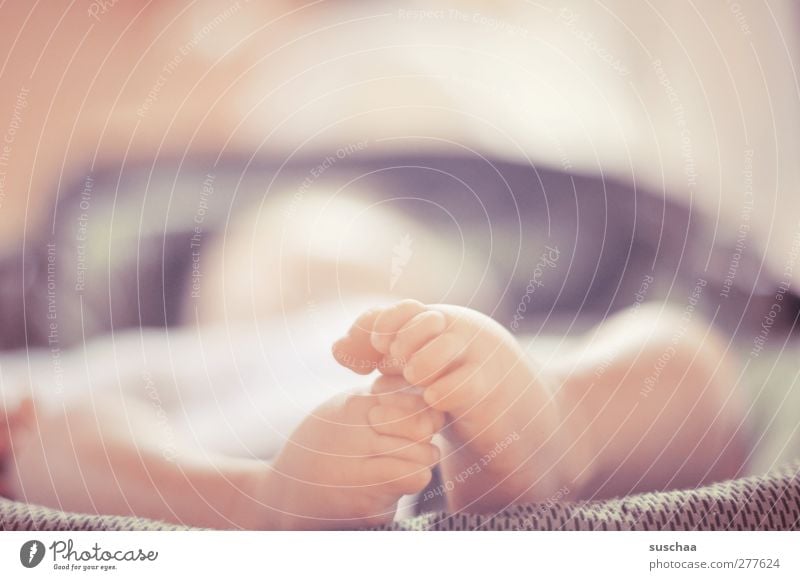 sweet feet Child Baby Infancy Skin Legs Feet 1 Human being 0 - 12 months Touch Movement Cute Life Toes baby feet New Colour photo Subdued colour Interior shot