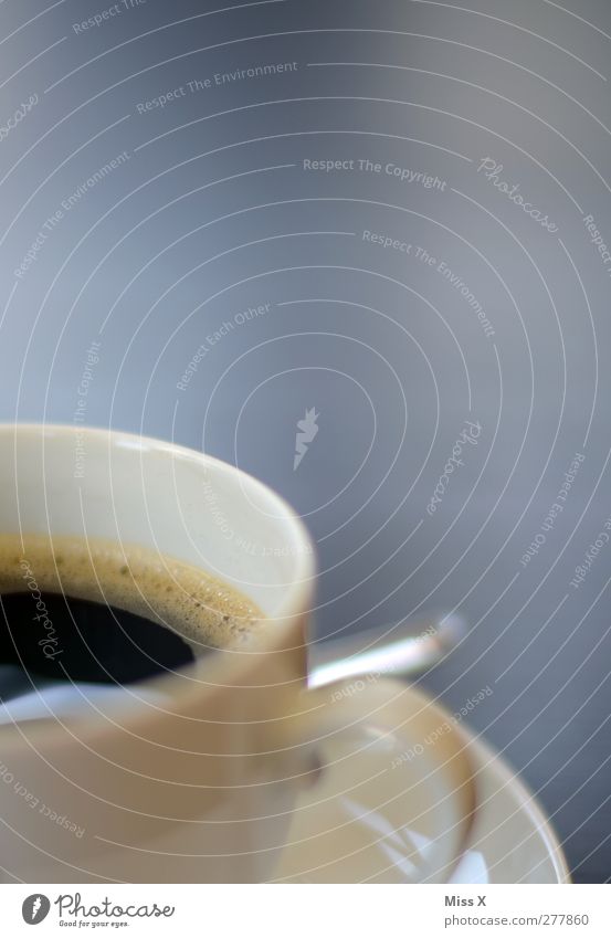 Coffee Food Nutrition To have a coffee Beverage Hot drink Cup Fragrance Delicious Black Colour photo Close-up Deserted Copy Space top Shallow depth of field