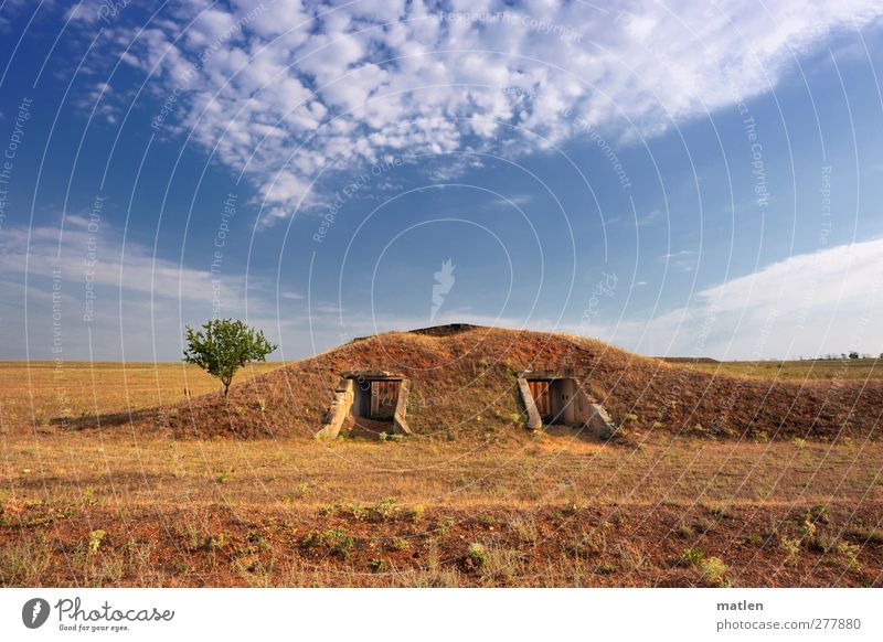 military Landscape Plant Earth Sky Clouds Horizon Sunlight Summer Beautiful weather Tree Steppe Deserted Ruin Dugout Wall (barrier) Wall (building) Blue Brown