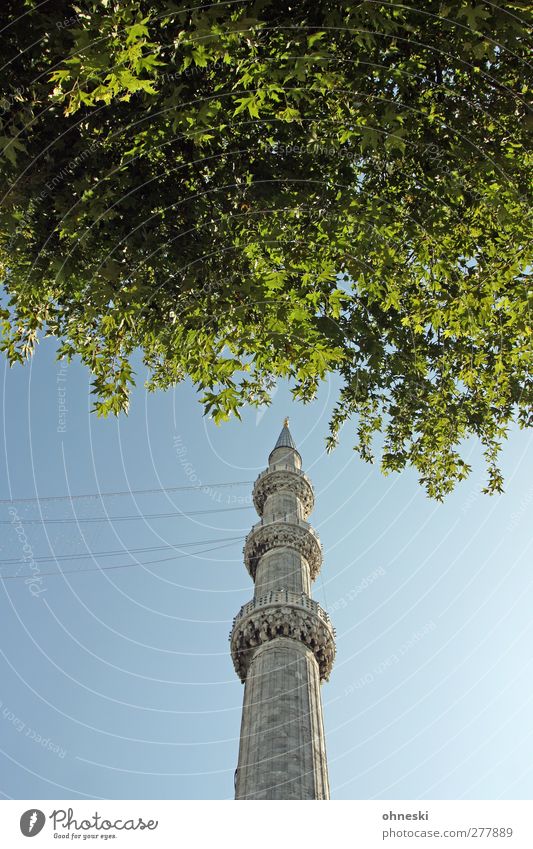 Off to the countryside Cloudless sky Leaf Istanbul Tower Minaret Tourist Attraction Blue Mosque Belief Religion and faith Islam Colour photo Exterior shot