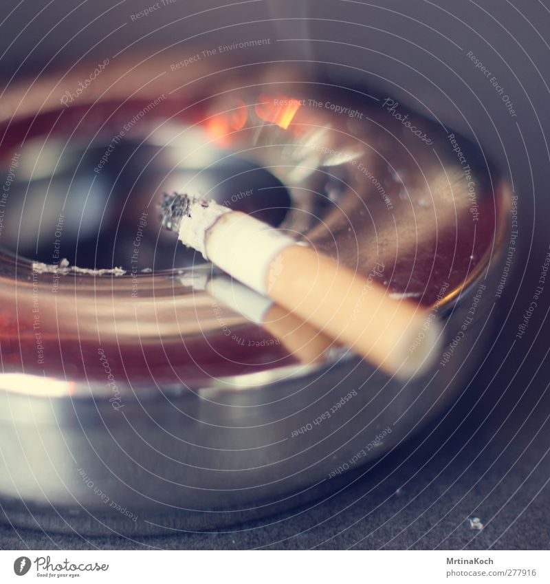 smoke. Elegant Smoking Intoxicant Purity Cigarette Tobacco Tobacco products Smoke Smoky Ashtray Colour photo Multicoloured Exterior shot Close-up Detail
