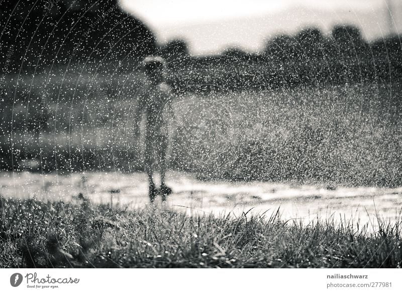 rain Human being Child Toddler Boy (child) Infancy Body 1 3 - 8 years Nature Landscape Plant Water Drops of water Grass Field Playing Stand Happiness Happy
