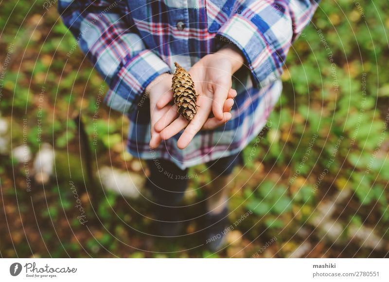 kid girl exploring wild forest, looking at pine cone Lifestyle Happy Playing Vacation & Travel Adventure Freedom Expedition Summer Hiking Child Infancy Nature