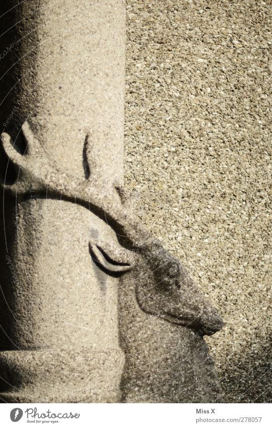 clasped Church Castle Manmade structures Wall (barrier) Wall (building) Facade Monument Animal Old Deer Antlers Statue Column Colour photo Subdued colour