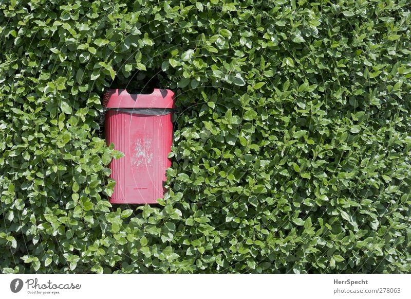 garbage chutes Plant Bushes Foliage plant Plastic Growth Threat Green Red Trash container Waste management Hedge swallow become overgrown Devour Colour photo