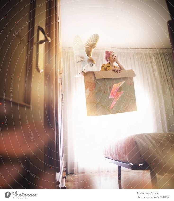 Woman with pink hair levitates in box with owl Fantasy Fly in air Above Bed Bedroom Cardboard box Box Sit Interior shot Vertical Mystic Lightning Sign Owl Bird