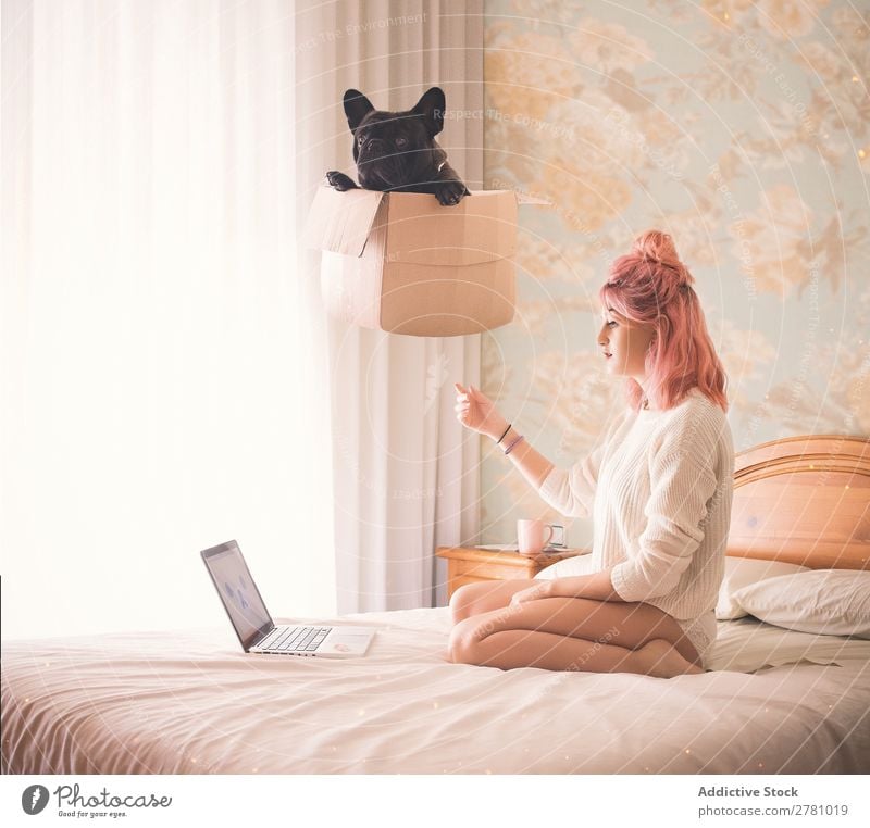 Woman with pink hair sitting on bed and box with black dog levitates overhead Fantasy Fly in air Above Bed Bedroom Cardboard box Box Dog Black Breed Bulldog Pet