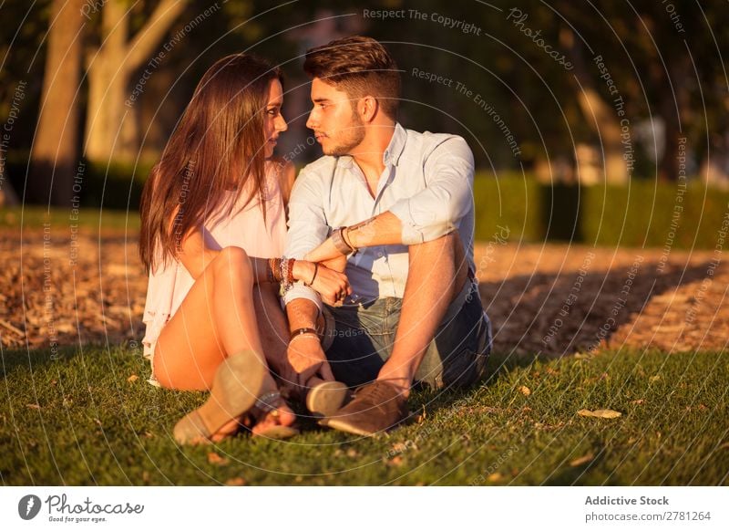 Loving couple looking face to face at sunset lights Couple Park Face to face Portrait photograph Sit Looking tender Affection Horizontal Colour Sunlight Evening