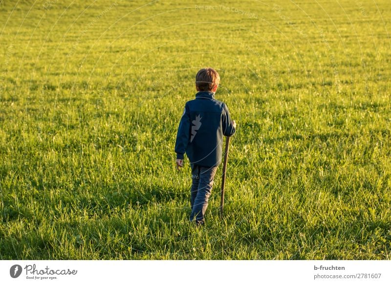 Child on a meadow, autumn, evening light Well-being Contentment Vacation & Travel Sun Hiking Boy (child) 1 Human being 3 - 8 years Infancy Autumn Grass Meadow