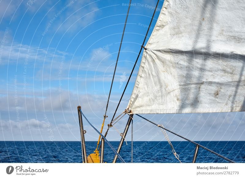 Old schooner sail with horizon over water. Lifestyle Vacation & Travel Trip Adventure Far-off places Freedom Cruise Summer Summer vacation Ocean Sailing Sky