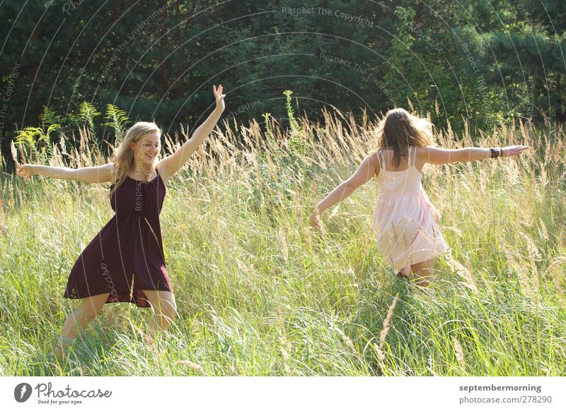 A feeling of summer II Feminine Youth (Young adults) 2 Human being 18 - 30 years Adults Nature Summer Meadow Dress Brunette Blonde Dance Happiness Fresh Natural