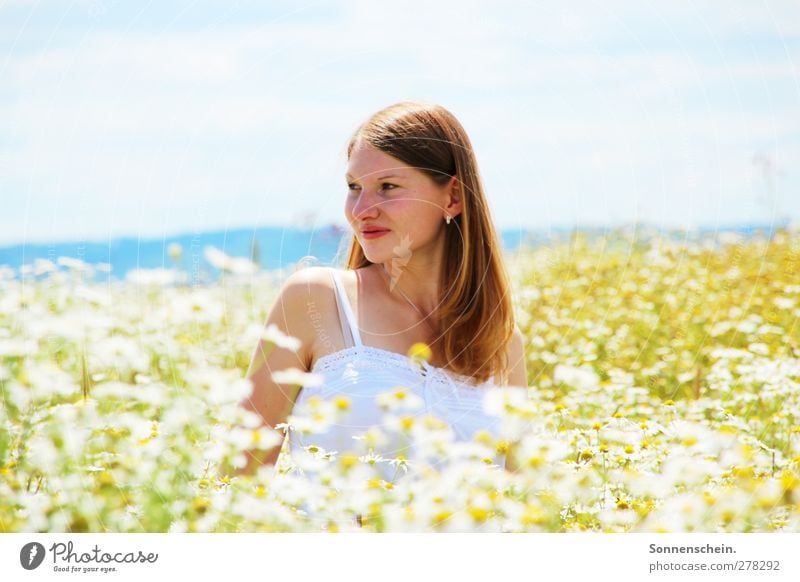 summer dreaming Contentment Summer Feminine Young woman Youth (Young adults) Head 18 - 30 years Adults Nature Landscape Sunlight Beautiful weather Flower