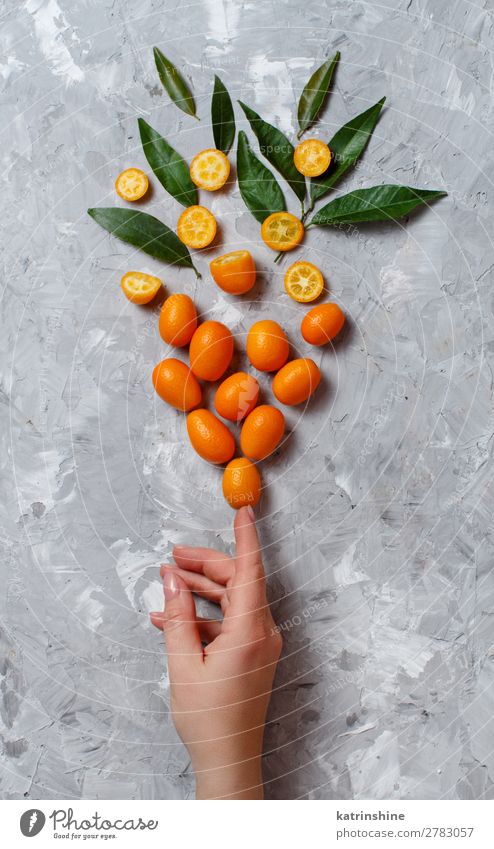 Kumquat fruits on a grey background Fruit Dessert Nutrition Vegetarian diet Diet Exotic Hand Group Leaf Fresh Natural Above Juicy Yellow Gray Colour citrus