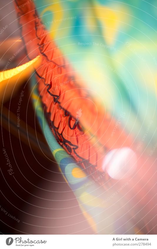 let's groove tonight Fashion Clothing Frills Accessory Multicoloured Point of light Orange Colour photo Interior shot Close-up Detail Experimental Abstract