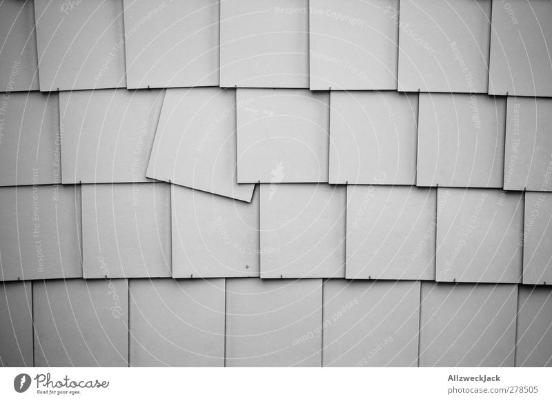 punk Wall (barrier) Wall (building) Simple Broken Gray Revolt Tile Row quirrolant Pattern Tilt Flexible Black & white photo Exterior shot Deserted Day