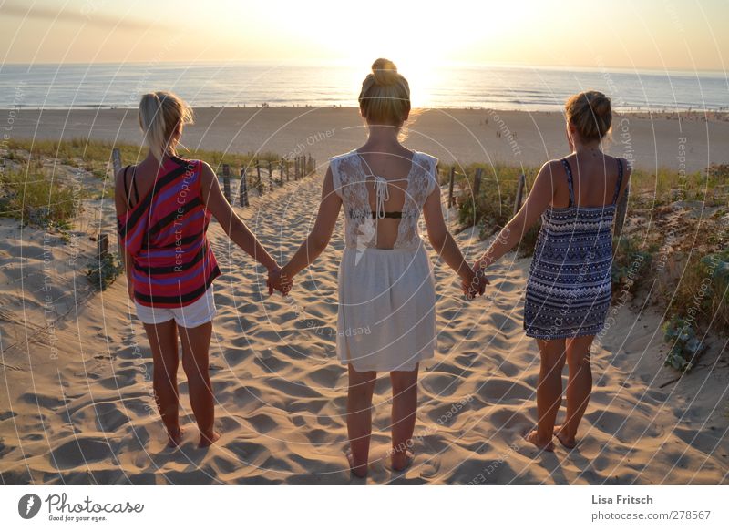 friendship Human being Feminine Young woman Youth (Young adults) Friendship Life 3 18 - 30 years Adults Sunrise Sunset Beautiful weather Beach Ocean To hold on