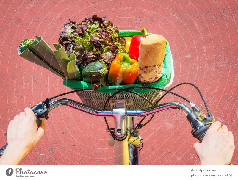 Closeup of woman winth groceries in a basket bike Food Vegetable Fruit Bread Lifestyle Shopping Happy Beautiful Relaxation Leisure and hobbies Summer Sun Sports