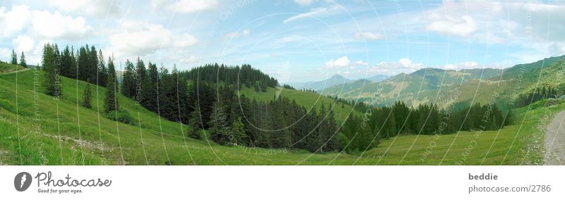 Allgäu panorama2 Meadow Panorama (View) Vantage point Tree Far-off places Mountain Valley Large Panorama (Format)