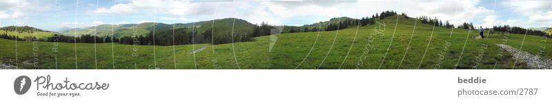Allgäu panorama Meadow Grass Vacation & Travel Tree Panorama (View) Spring Hiking Mountain Landscape Sky Large Panorama (Format)