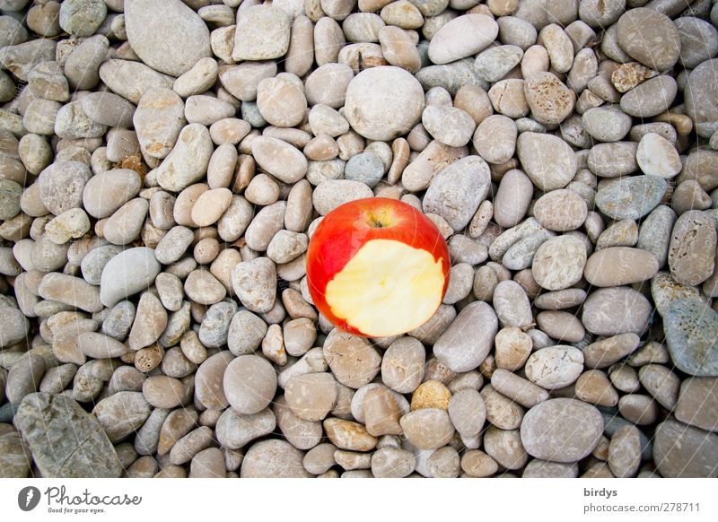 The laughing apple Apple Laughter Illuminate Funny Original Juicy Beautiful Sweet Gray Red Esthetic Pebble Eroded 1 Food photograph Colour photo Exterior shot
