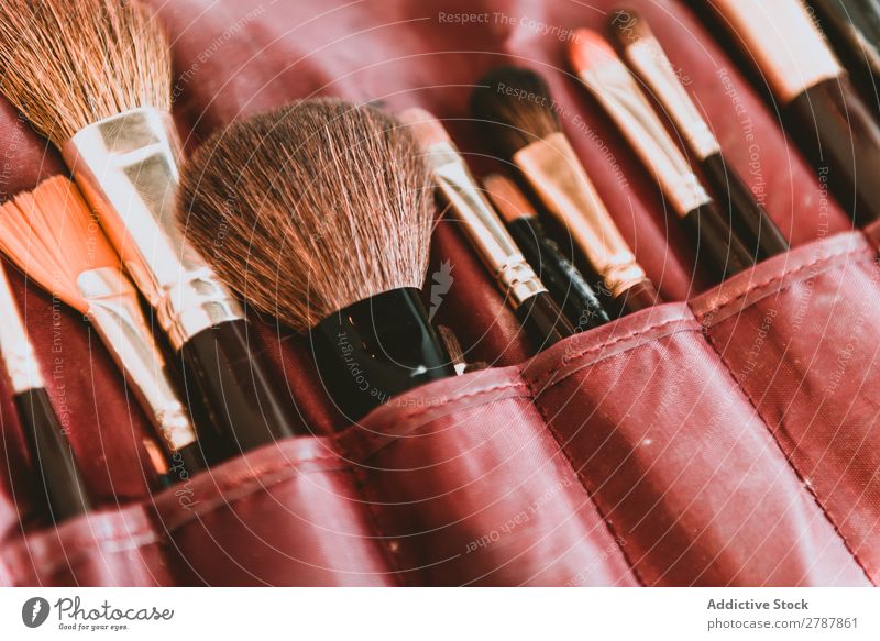 Set of brushes in bag Brush Make-up Collection Bag Exceptional Fashion Beauty Photography Professional glamour facial visage Tool Accessory Equipment