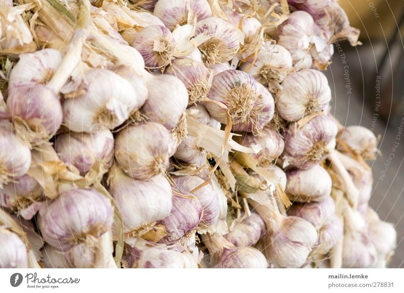 French market Food Vegetable Garlic Violet White Markets France Colour photo Exterior shot Central perspective