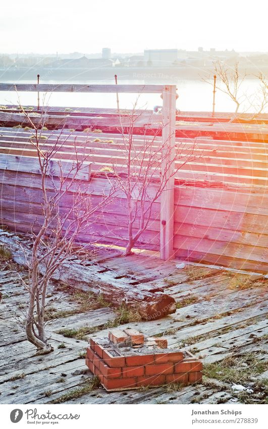 ray of hope Harbour Esthetic Contentment Bright spot Brick Wood Dock Liverpool Horizon Bushes Bleak Wooden board Pink Light (Natural Phenomenon) Colouring