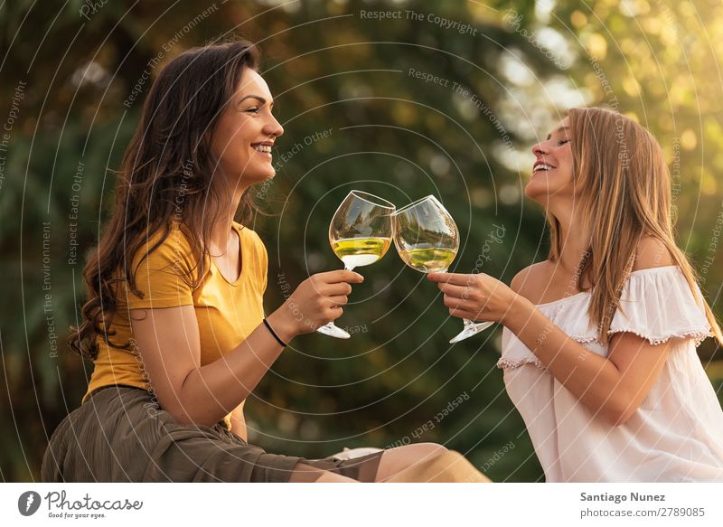 Beautiful women drinking wine in the park. Woman Picnic Friendship Youth (Young adults) Park Happy Wine Glass Drinking Toast clinking Guitar Summer Human being