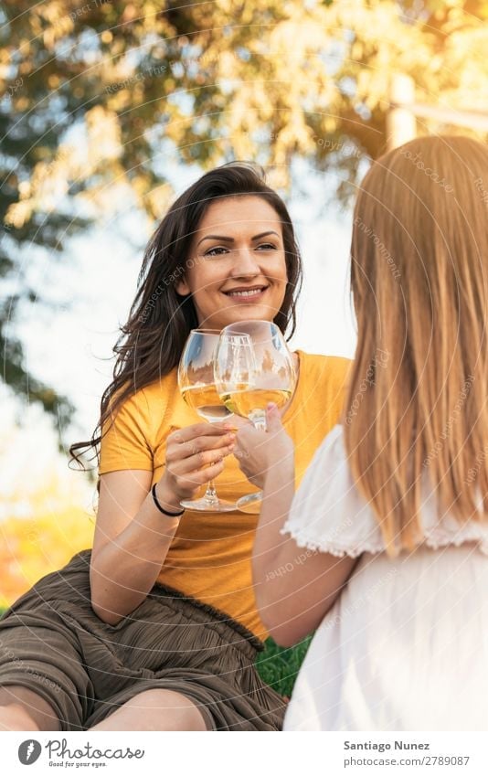 Beautiful women drinking wine in the park. Woman Picnic Friendship Youth (Young adults) Park Happy Wine Glass Drinking Toast clinking Guitar Summer Human being