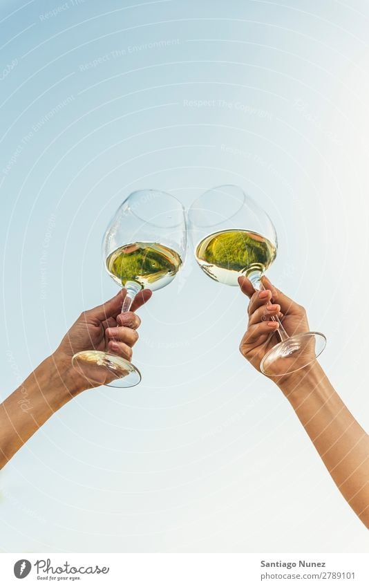 Female friends cheers clinking glasses of white wine. Wine Couple Toast Cheerful Glass Hand Woman Happy Background picture Feasts & Celebrations Happiness New