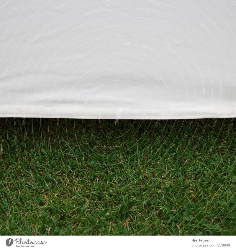 bisected Nature Earth Grass Meadow Green White Serene Fairness Contentment Accuracy Precision Symmetry Divide Colour photo Exterior shot Abstract Pattern