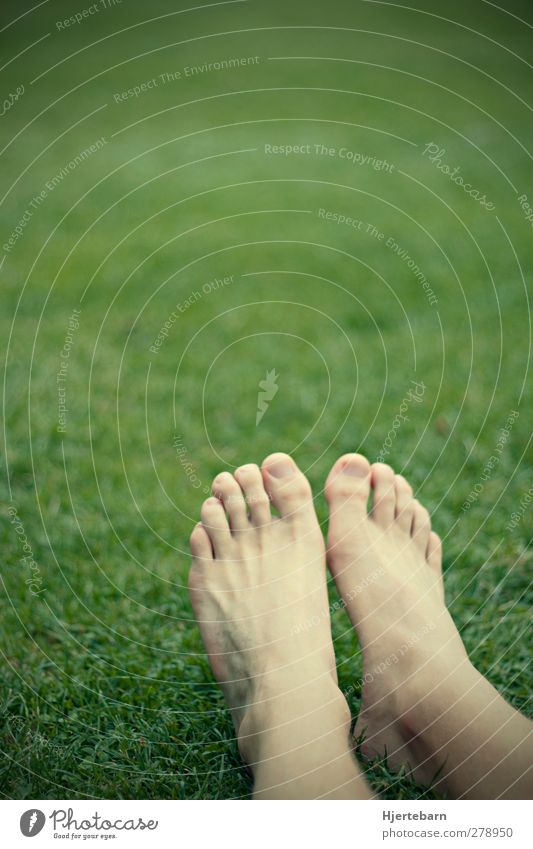 Feet in the green Well-being Contentment Relaxation Leisure and hobbies Summer Flat (apartment) Garden Park Meadow Lie Joie de vivre (Vitality) Colour photo