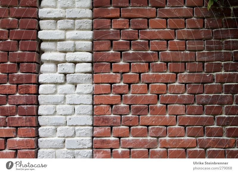 brick wall House (Residential Structure) Building Old building institution Industrial monument Wall (barrier) Wall (building) Sand Brick Glittering Illuminate