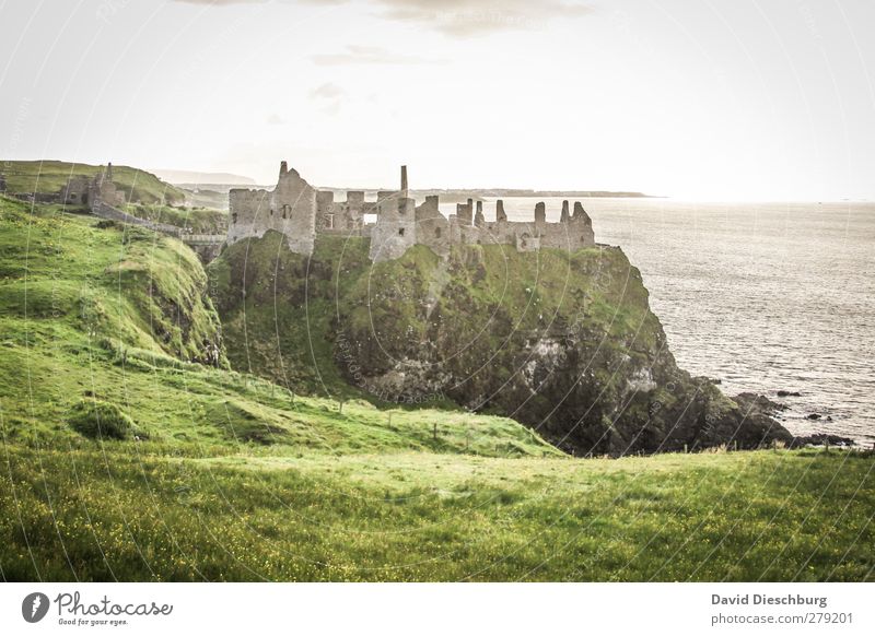 Dunluce Castle Vacation & Travel Sightseeing Sky Spring Summer Autumn Beautiful weather Grass Moss Foliage plant Coast Ocean Ruin Wall (barrier) Wall (building)