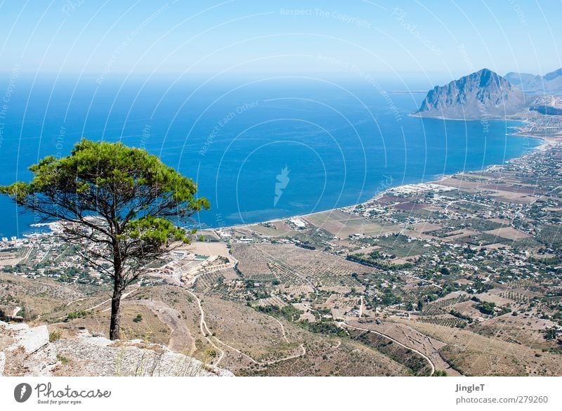 timber line Environment Nature Landscape Plant Animal Earth Water Tree Foliage plant Hill Rock Mountain Ocean Mediterranean sea Relaxation Looking Tall Blue