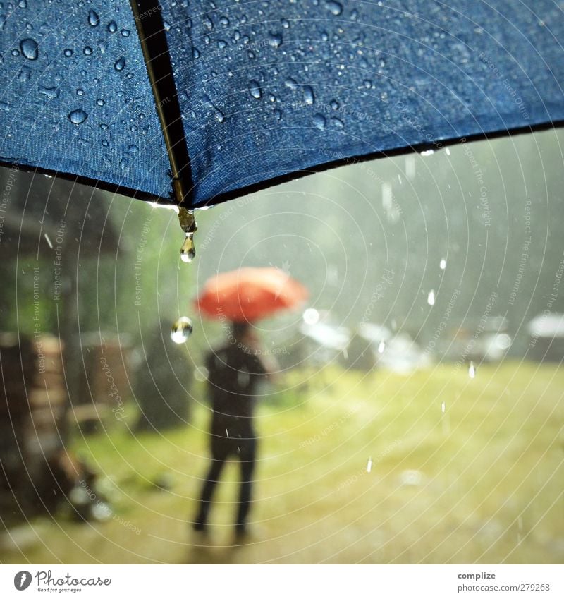 summer rain Trip Summer Young man Youth (Young adults) Elements Water Drops of water Sun Meadow Lanes & trails Rubber boots Walking Blue Red Umbrella