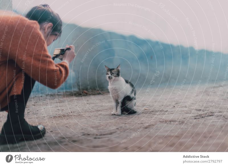Woman taking shot of homeless cat Cat Homeless Street shooting Photographer Camera Professional Animal Stray Pet Fur coat Kitten Youth (Young adults) Cute