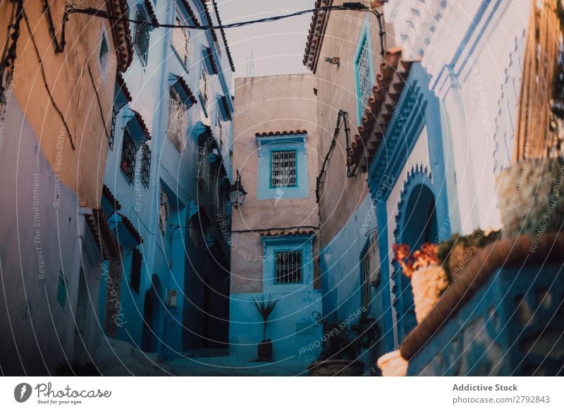 Narrow street with old buildings Street Building Chechaouen Morocco Construction Facade Old Blue Vacation & Travel Sunbeam Day Tourism Beautiful romantic