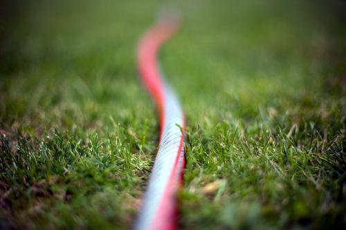 Life in the allotment garden is really exciting... Garden Gardening Summer Grass Meadow Garden hose Lie Long Near Green Red Wiggly line Irrigation Colour photo