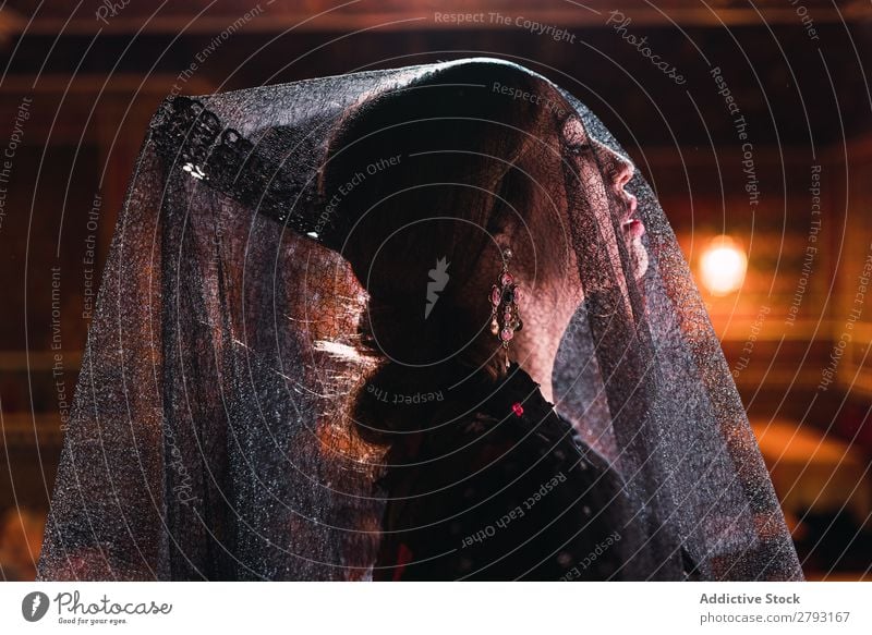 Young woman with veil on scene Woman Veil Scene Shows Dress Light Illuminate Youth (Young adults) Attractive Lady Beautiful artistic Make-up Interior design