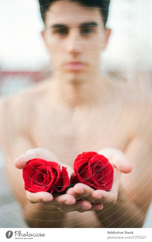 Young man with red flowers Man Flower Fresh Red Youth (Young adults) Rose Brunette Guy shirtless Surprise Gift Indicate romantic Aromatic Feasts & Celebrations