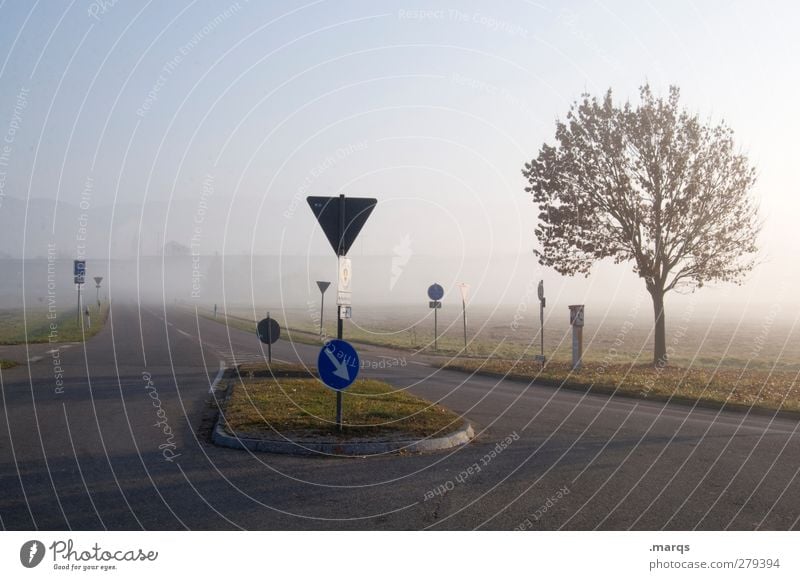 cross Environment Nature Landscape Cloudless sky Autumn Climate Weather Fog Tree Transport Traffic infrastructure Street Crossroads Lanes & trails Road sign