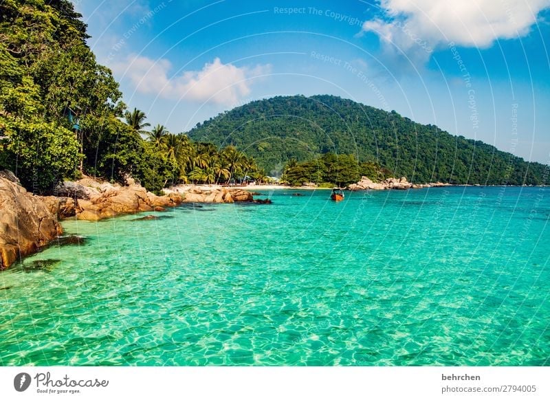 little dreams Rock Relaxation relax recover Romance Palm tree Malaya Landscape Asia Island Virgin forest Paradise Dream island perhentian besar palms Water