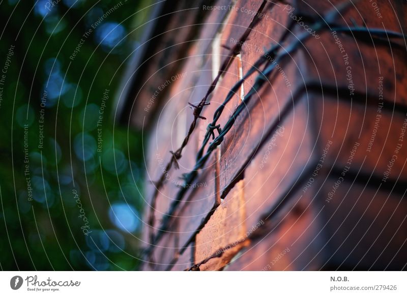 Barbed Wire & Masonry Wall (barrier) Wall (building) Thorny Red Fear Mistrust Inequity Bans Decline Captured Colour photo Exterior shot Deserted Copy Space left