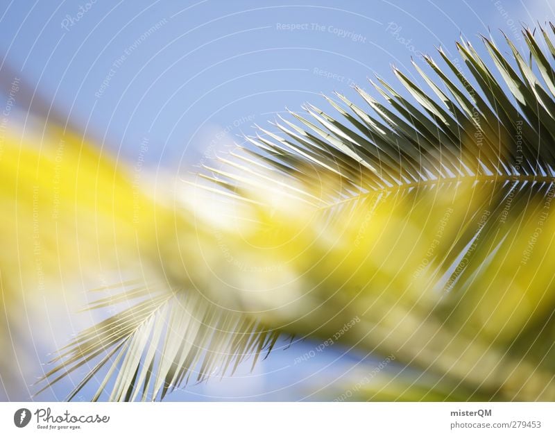 Palm fronds. Art Esthetic Palm tree Palm beach Palm House Palm roof Vacation & Travel Vacation photo Summer vacation Vacation destination Vacation mood