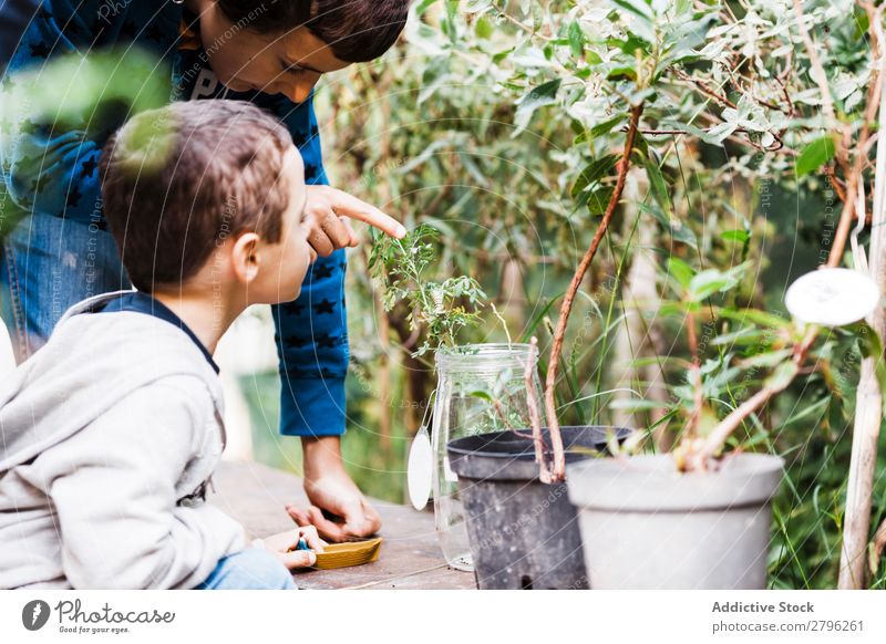 Person pointing at plant in can near child Child Plant Explain Indicate Tin Boy (child) Fingers Green Glass Park Human being Garden Nature School