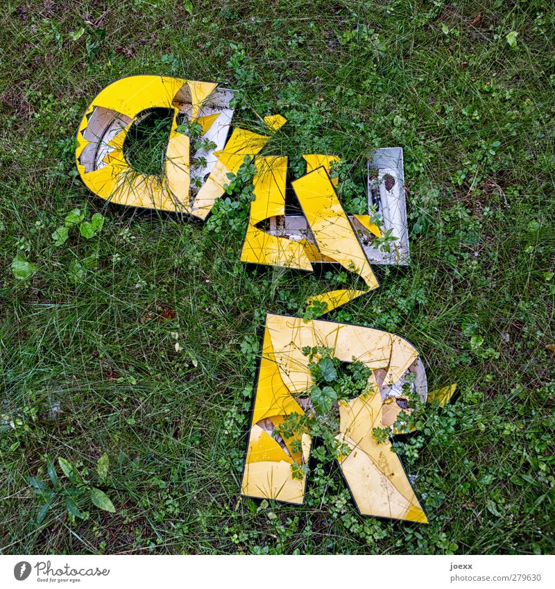 red-green Meadow Characters Old Broken Yellow Green Bizarre Transience R E D Neon sign Colour photo Exterior shot Deserted Contrast