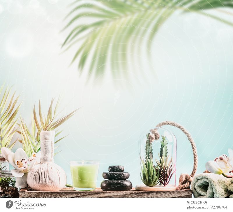 Wellness equipment with palm leaves Design Healthy Meditation Spa Massage Vacation & Travel Nature Health care Background picture Blog Sunbeam Palm tree Candle