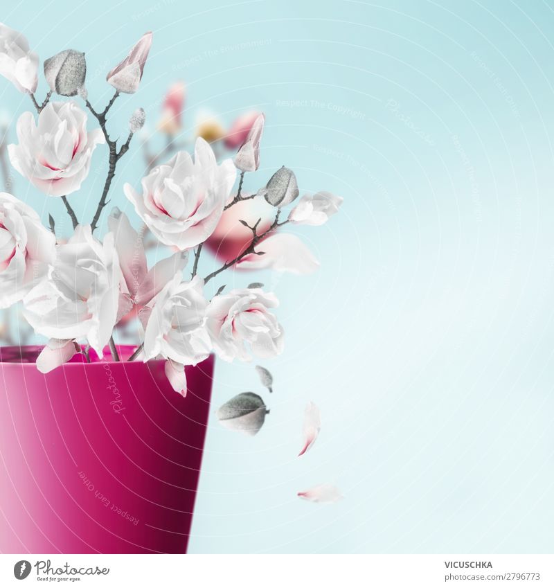 Vase with magnolia twigs and flowers Style Design Decoration Spring Leaf Blossom Bouquet Magnolia plants Bud Colour photo Studio shot Copy Space right