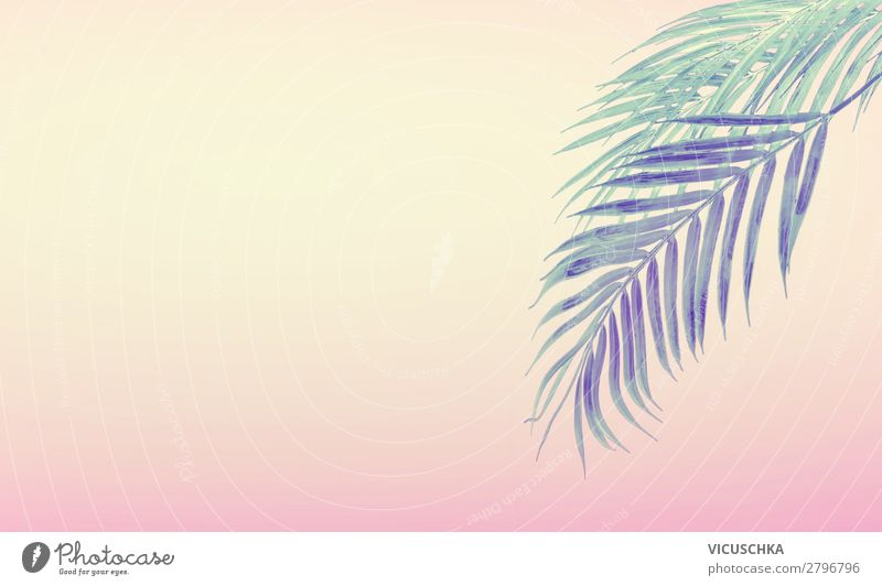 Summer background with tropical palm leaves - a Royalty Free Stock Photo  from Photocase